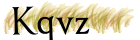 Security_code